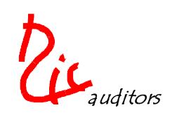 RIC Auditors